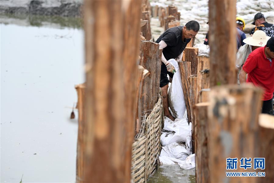 (新華全媒頭條·圖文互動(dòng))(10)立皖安瀾——安徽決戰(zhàn)一江一河一湖抗洪紀(jì)實(shí)