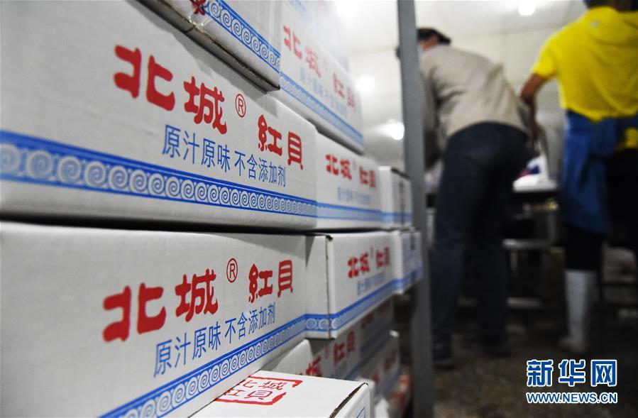 （走向我們的小康生活&middot;圖文互動(dòng)）（2）長(zhǎng)島漁民的扇貝喜事：從請(qǐng)客求人買(mǎi)到供不應(yīng)求