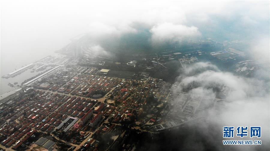 （走向我們的小康生活&middot;圖文互動(dòng)）（9）長(zhǎng)島漁民的扇貝喜事：從請(qǐng)客求人買(mǎi)到供不應(yīng)求