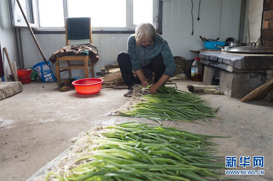 （決戰(zhàn)決勝脫貧攻堅(jiān)&middot;圖文互動）（4）老張的菜園