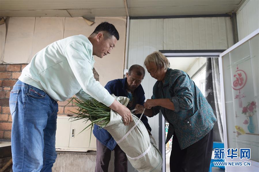 （決戰(zhàn)決勝脫貧攻堅(jiān)&middot;圖文互動）（5）老張的菜園