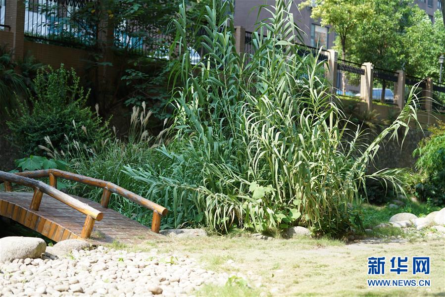 （圖文互動）（4）&ldquo;綠灰白&rdquo;破解城市內(nèi)澇之&ldquo;囧&rdquo;