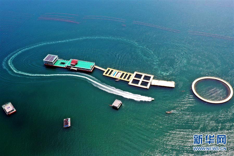 （圖文互動）（2）把&ldquo;試驗田&rdquo;種成&ldquo;高產田&rdquo;&mdash;&mdash;記中國（山東）自由貿易試驗區(qū)設立一周年