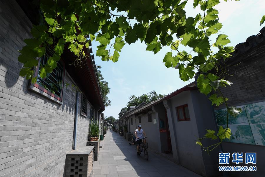 （走向我們的小康生活&middot;圖文互動）（1）小橋、流水、書香、人家&mdash;&mdash;老北京胡同里的恬靜棲居