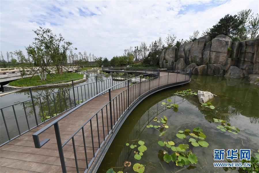 （新華全媒頭條&middot;走向我們的小康生活&middot;圖文互動）（2）&ldquo;繡&rdquo;出古都新生活&mdash;&mdash;城市精細化治理的北京探索