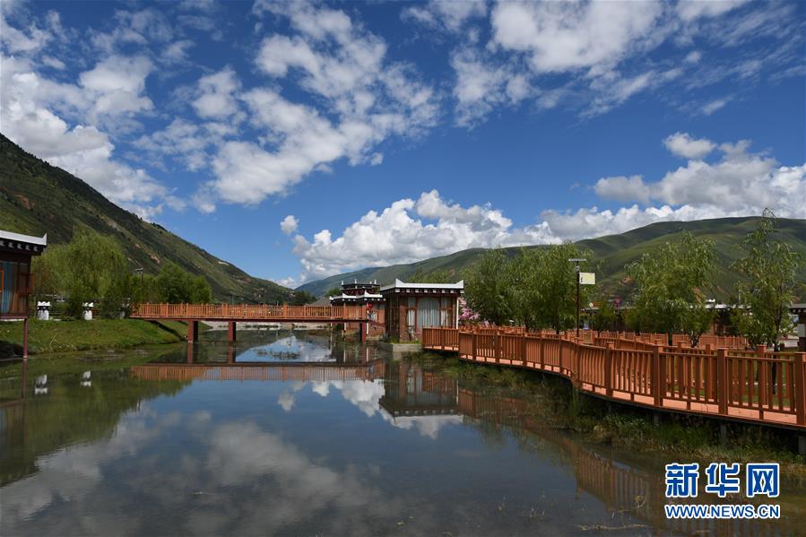 (鄉(xiāng)村振興·圖文互動)(1)村里來了位“掏糞書記”