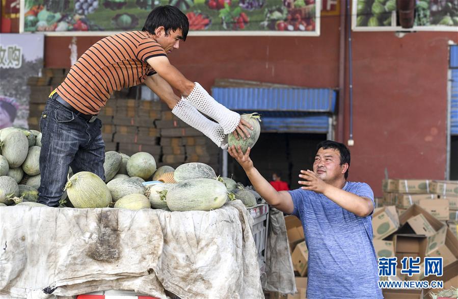 （決戰(zhàn)決勝脫貧攻堅&middot;圖文互動）（2）&ldquo;窮&rdquo;鄉(xiāng)富戶的販瓜生意經(jīng)