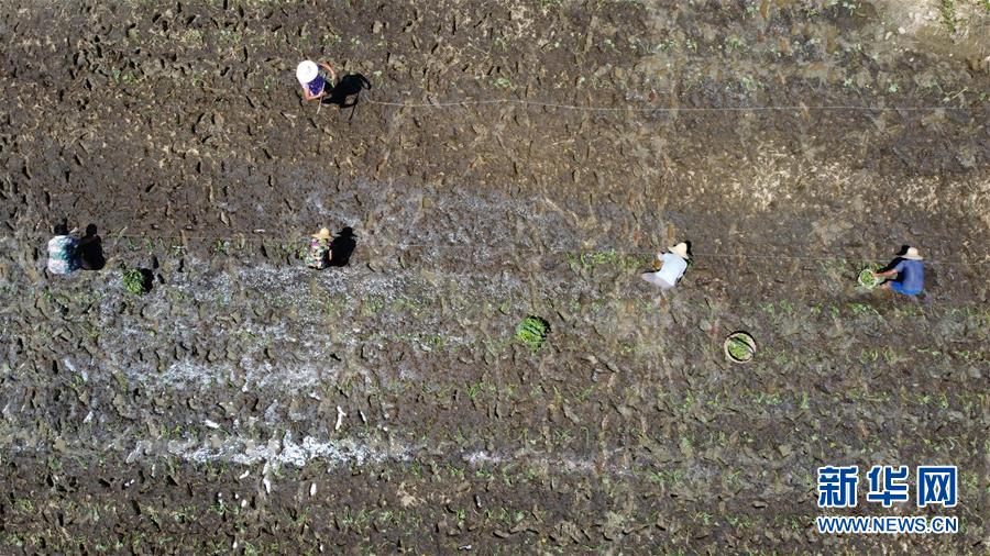 （在習(xí)近平新時(shí)代中國(guó)特色社會(huì)主義思想指引下&mdash;&mdash;新時(shí)代新作為新篇章&middot;習(xí)近平總書記關(guān)切事&middot;圖文互動(dòng)）（8）一切為了人民&mdash;&mdash;寫在全國(guó)防汛救災(zāi)取得階段性重大勝利之時(shí)
