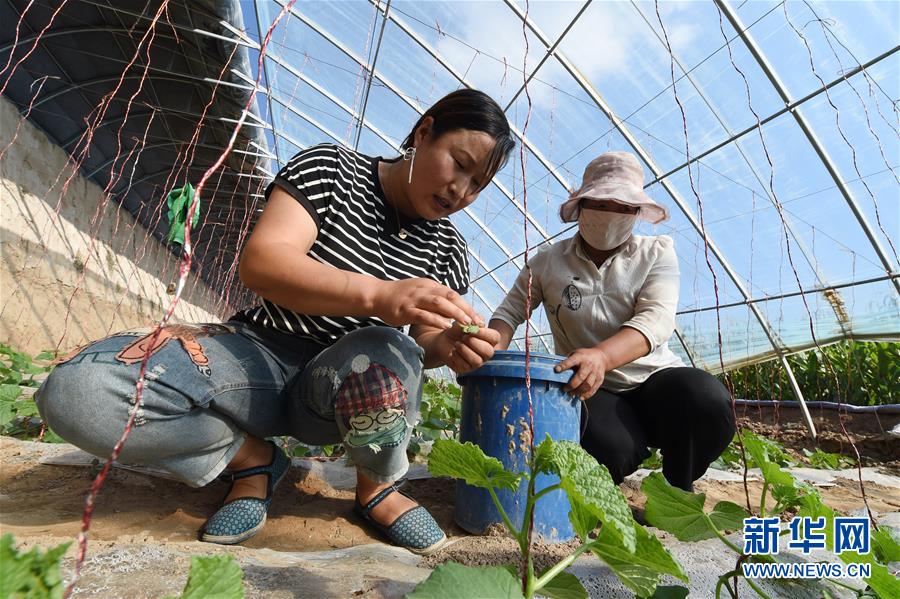 （新華全媒頭條&middot;走向我們的小康生活&middot;圖文互動）（5）&ldquo;苦甲&rdquo;不再，&ldquo;甘味&rdquo;綿長&mdash;&mdash;脫貧攻堅的甘肅味道