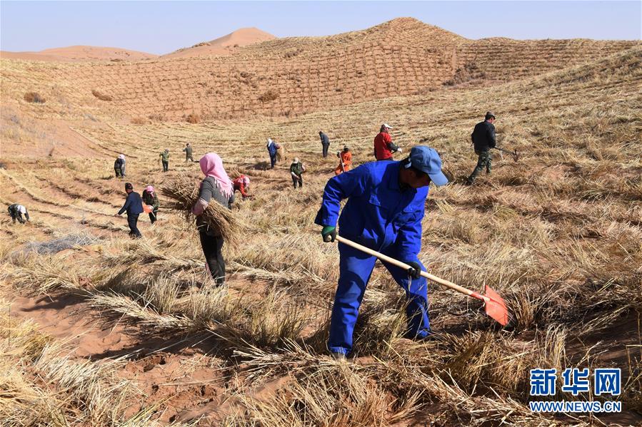 （新華全媒頭條&middot;走向我們的小康生活&middot;圖文互動）（6）&ldquo;苦甲&rdquo;不再，&ldquo;甘味&rdquo;綿長&mdash;&mdash;脫貧攻堅的甘肅味道