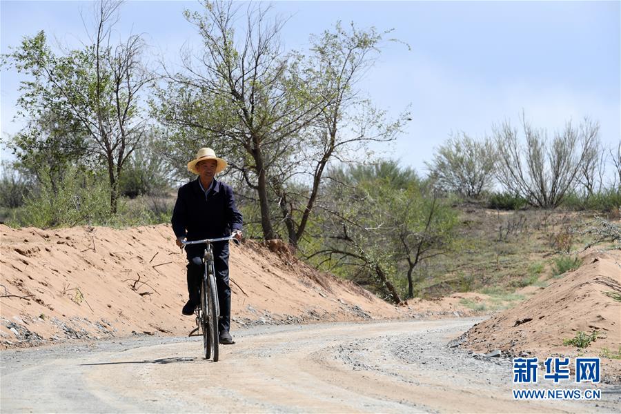 （新華全媒頭條&middot;走向我們的小康生活&middot;圖文互動）（7）&ldquo;苦甲&rdquo;不再，&ldquo;甘味&rdquo;綿長&mdash;&mdash;脫貧攻堅的甘肅味道