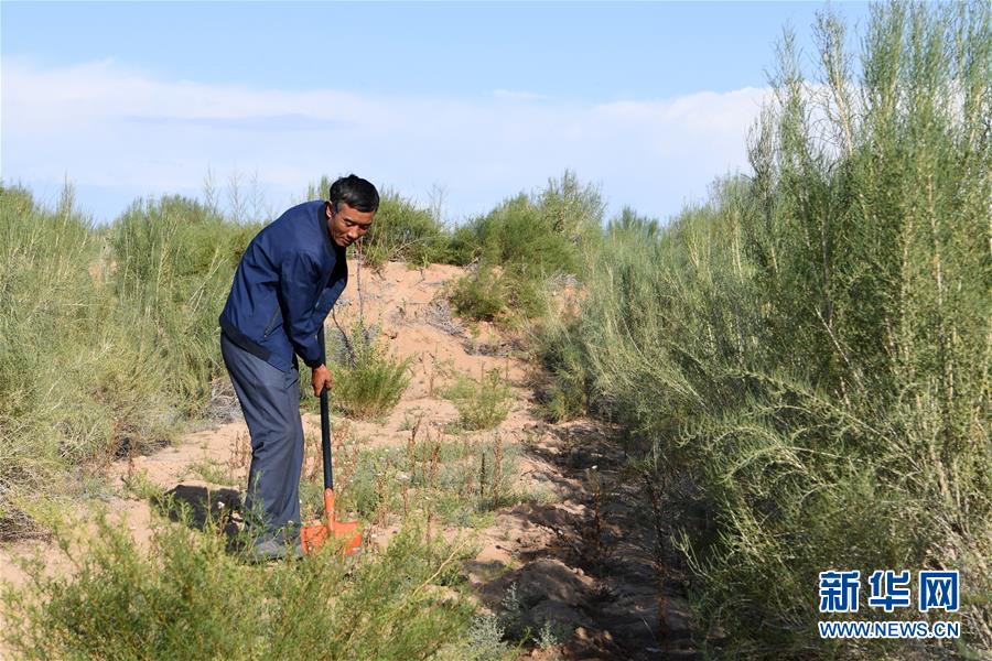 （新華全媒頭條&middot;走向我們的小康生活&middot;圖文互動）（8）&ldquo;苦甲&rdquo;不再，&ldquo;甘味&rdquo;綿長&mdash;&mdash;脫貧攻堅的甘肅味道
