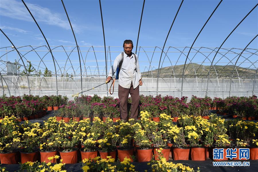 （新華全媒頭條&middot;走向我們的小康生活&middot;圖文互動）（10）&ldquo;苦甲&rdquo;不再，&ldquo;甘味&rdquo;綿長&mdash;&mdash;脫貧攻堅的甘肅味道