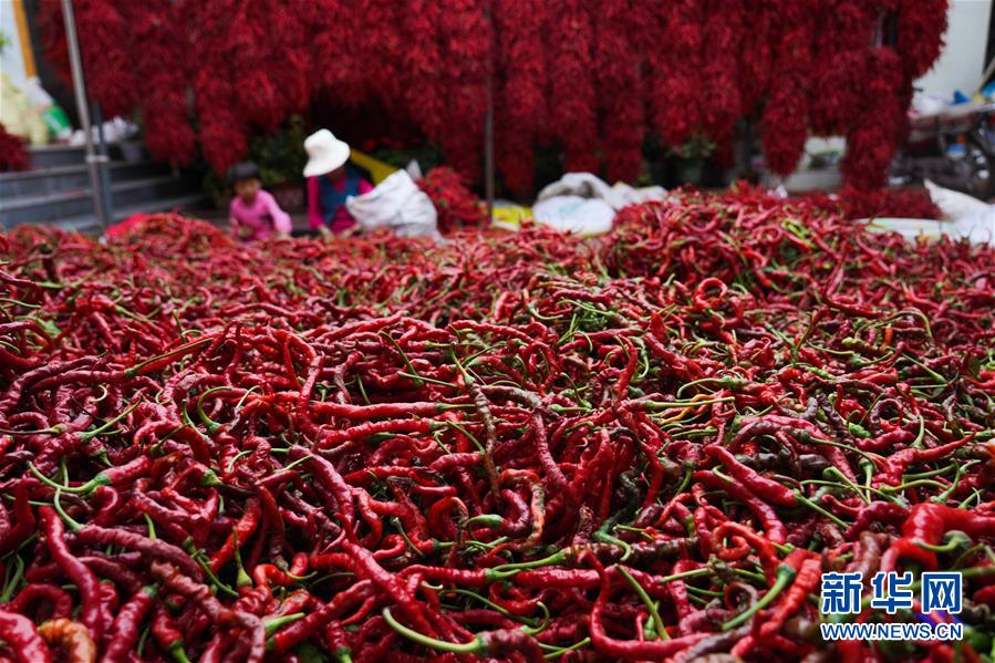 （走向我們的小康生活&middot;決戰(zhàn)決勝脫貧攻堅(jiān)&middot;圖文互動(dòng)）（7）甘青交界處的跨越&mdash;&mdash;保安族、撒拉族的脫貧故事 