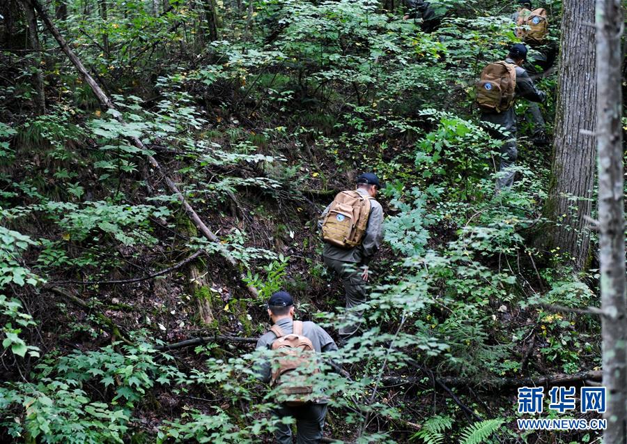 （圖文互動(dòng)）（2）長(zhǎng)白山60年書寫&ldquo;生態(tài)答卷&rdquo;