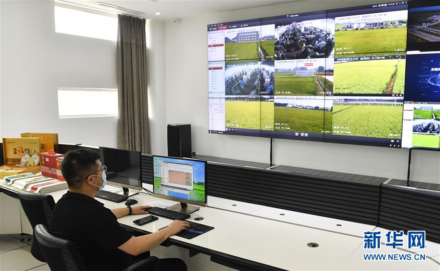 （新華全媒頭條&middot;走向我們的小康生活&middot;圖文互動）（4）黑土地上是我家&mdash;&mdash;在吉林，一瞥中國東北鄉(xiāng)村美麗未來