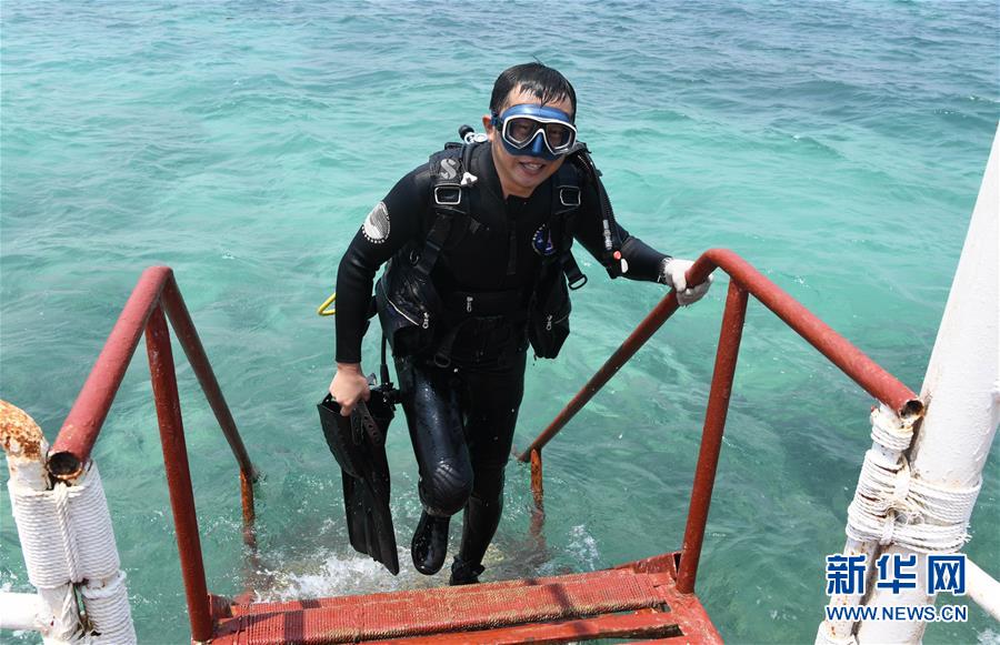 （在習近平新時代中國特色社會主義思想指引下&mdash;&mdash;新時代新作為新篇章&middot;習近平總書記關切事&middot;圖文互動）（5）終不悔為國為民，攀高峰只爭朝夕&mdash;&mdash;來自科學家們的動人故事