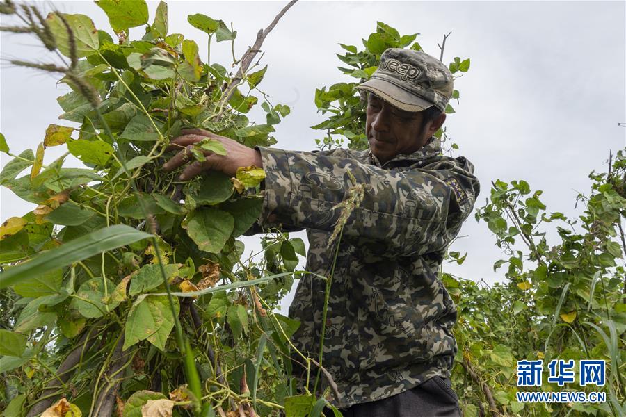 （決戰(zhàn)決勝脫貧攻堅&middot;圖文互動）（3）團結村的李輝新傳
