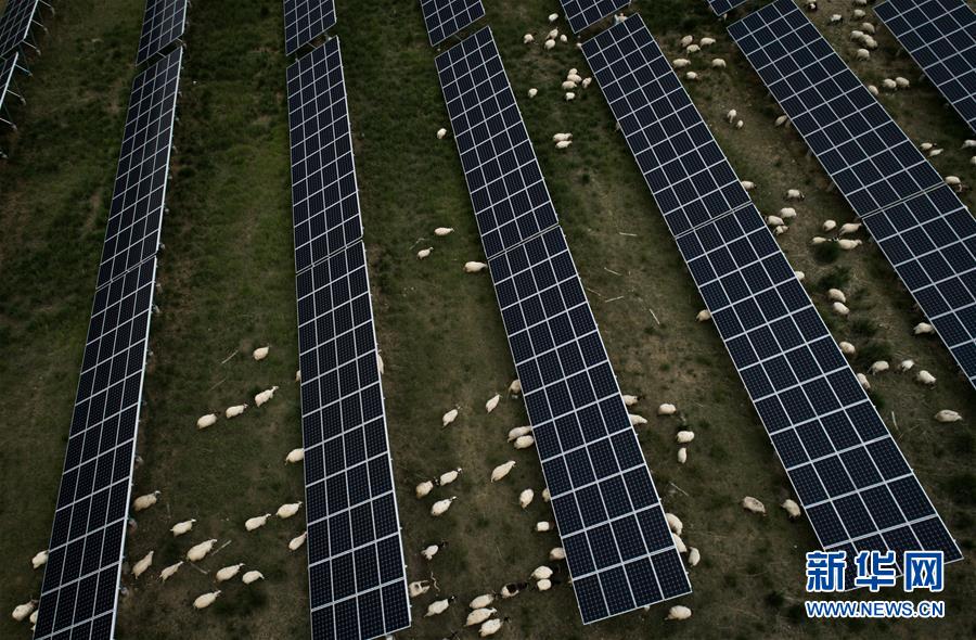 （新華全媒頭條&middot;走向我們的小康生活&middot;決戰(zhàn)決勝脫貧攻堅(jiān)&middot;圖文互動）（3）高原上綻放的光芒&mdash;&mdash;來自青海攻克深度貧困堡壘的故事