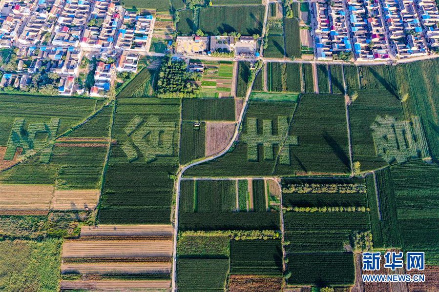 （新華全媒頭條&middot;圖文互動(dòng)）（3）天道酬勤的大地贊歌&mdash;&mdash;寫在第三個(gè)中國(guó)農(nóng)民豐收節(jié)之際