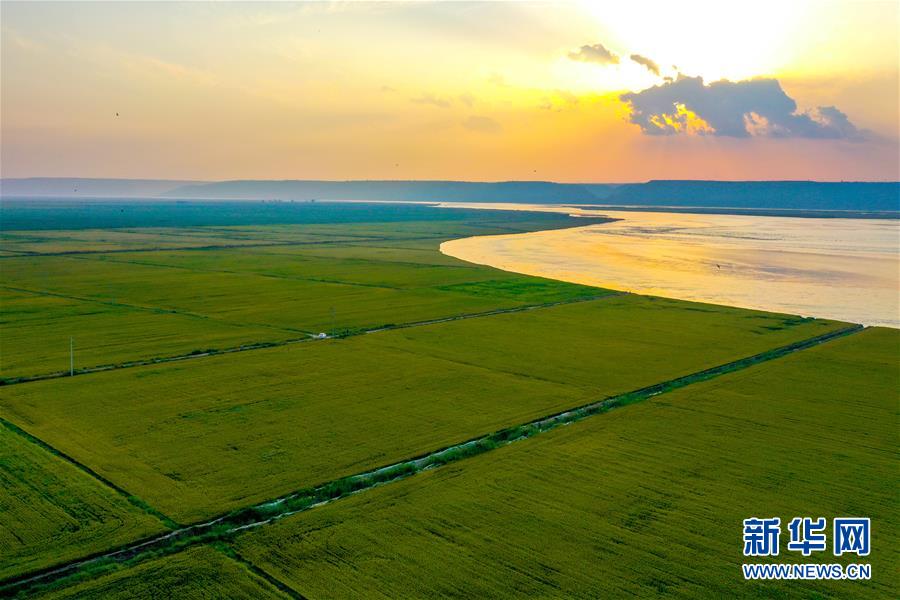 （新華全媒頭條&middot;圖文互動(dòng)）（4）天道酬勤的大地贊歌&mdash;&mdash;寫在第三個(gè)中國(guó)農(nóng)民豐收節(jié)之際