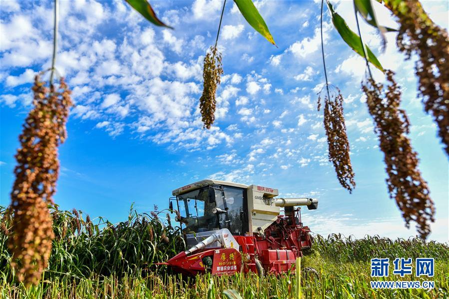 （新華全媒頭條&middot;圖文互動(dòng)）（5）天道酬勤的大地贊歌&mdash;&mdash;寫在第三個(gè)中國(guó)農(nóng)民豐收節(jié)之際