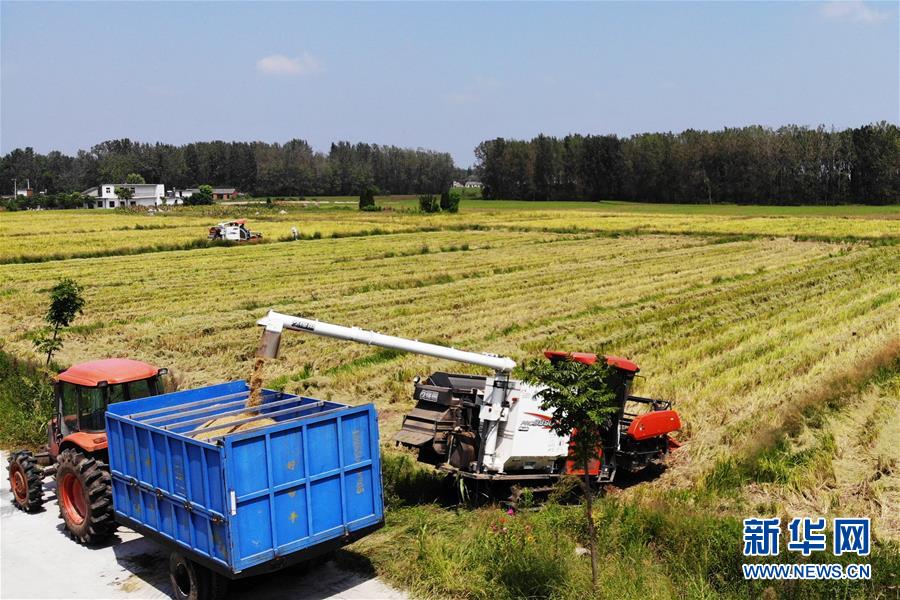 （新華全媒頭條&middot;圖文互動(dòng)）（9）天道酬勤的大地贊歌&mdash;&mdash;寫在第三個(gè)中國(guó)農(nóng)民豐收節(jié)之際