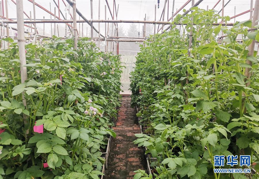 （新華全媒頭條&middot;圖文互動(dòng)）（8）天道酬勤的大地贊歌&mdash;&mdash;寫在第三個(gè)中國(guó)農(nóng)民豐收節(jié)之際