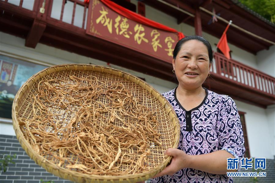 （新華全媒頭條&middot;走向我們的小康生活&middot;圖文互動(dòng)）（4）神山村&ldquo;神奇&rdquo;何在？&mdash;&mdash;井岡山深處覓答案