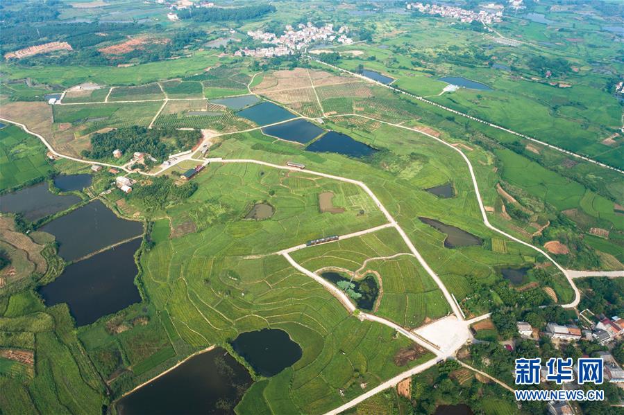 （新華全媒頭條&middot;走向我們的小康生活&middot;圖文互動(dòng)）（1）特殊之年，荊楚大地書(shū)寫(xiě)不平凡的答卷