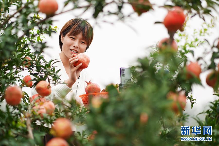 （新華全媒頭條&middot;圖文互動）（12）流動中國折射復蘇新氣象&mdash;&mdash;透視&ldquo;十一&rdquo;黃金周