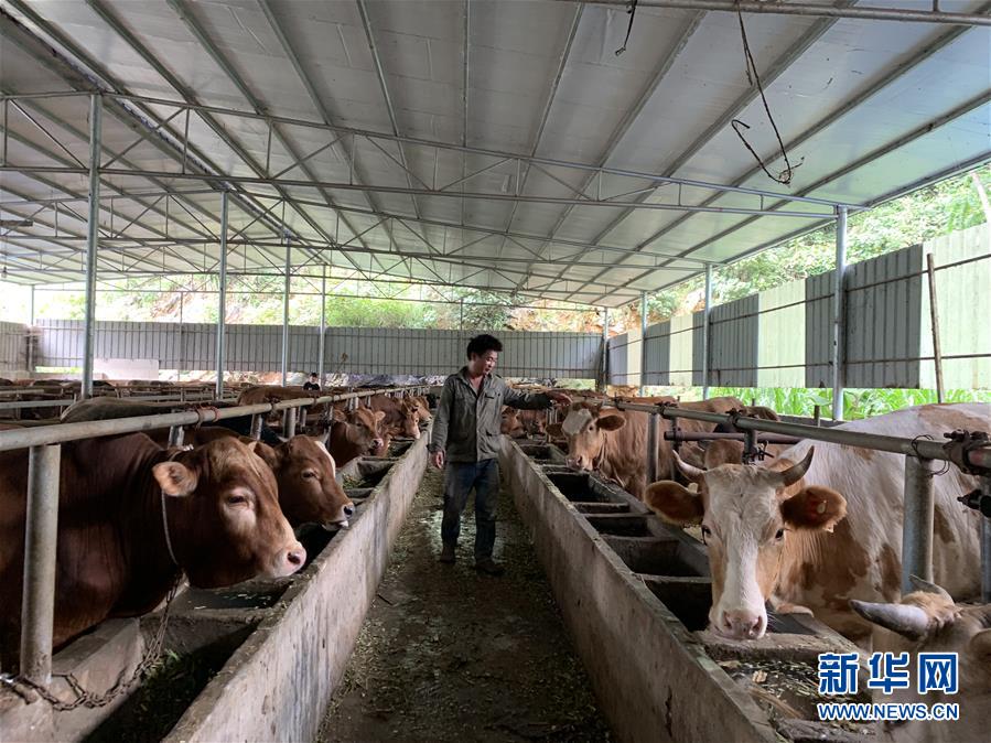 （新華全媒頭條&middot;圖文互動(dòng)）（3）決戰(zhàn)千山萬弄間&mdash;&mdash;廣西&ldquo;極貧角落&rdquo;最后攻堅(jiān)記