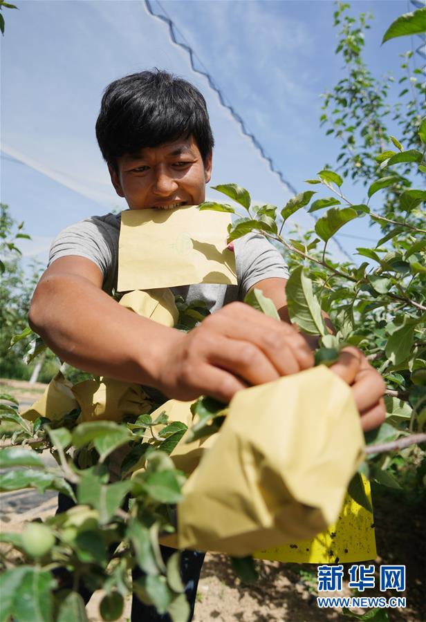 （習近平的小康故事&middot;圖文互動）（2）&ldquo;我很期盼的一件事，就是讓鄉(xiāng)親們飽餐一頓肉&rdquo;&mdash;&mdash;習近平和脫貧攻堅的故事