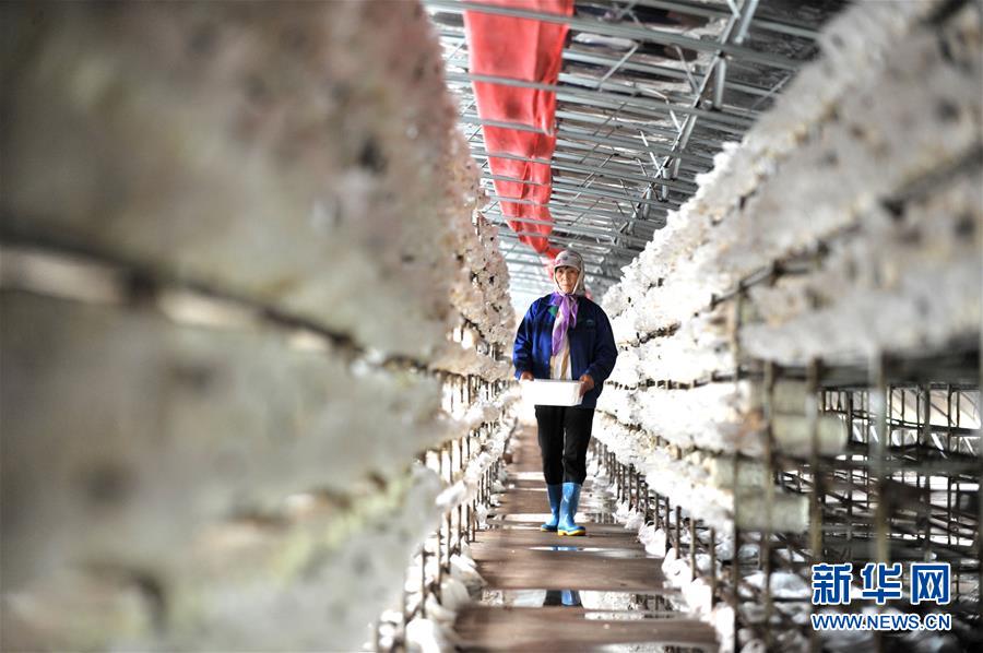 （習近平的小康故事&middot;圖文互動）（6）&ldquo;我很期盼的一件事，就是讓鄉(xiāng)親們飽餐一頓肉&rdquo;&mdash;&mdash;習近平和脫貧攻堅的故事