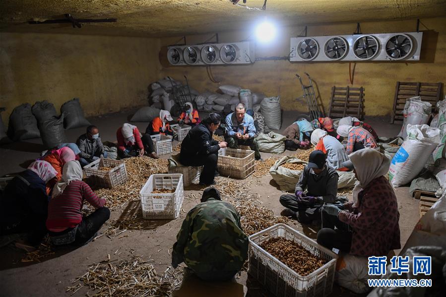 （習近平的小康故事&middot;圖文互動）（8）&ldquo;我很期盼的一件事，就是讓鄉(xiāng)親們飽餐一頓肉&rdquo;&mdash;&mdash;習近平和脫貧攻堅的故事