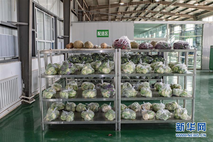 （聚焦疫情防控&middot;圖文互動）（1）把握先機(jī) 應(yīng)對有序&mdash;&mdash;新疆疏附縣全力阻斷新冠肺炎病毒傳播