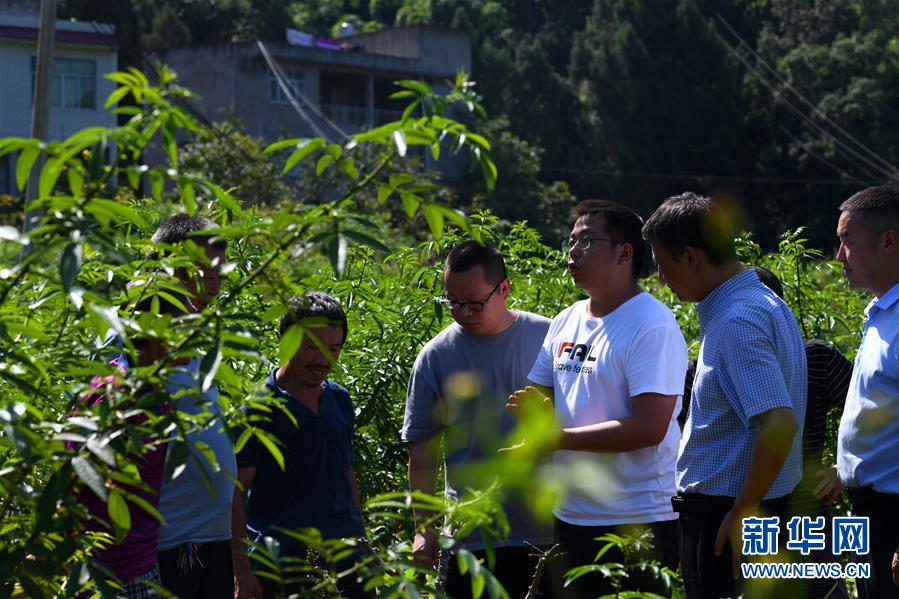 （決戰(zhàn)決勝脫貧攻堅(jiān)&middot;圖文互動(dòng)）（3）&ldquo;堵槍眼&rdquo;的脫貧戰(zhàn)怎么打？&mdash;&mdash;繼光村見(jiàn)聞