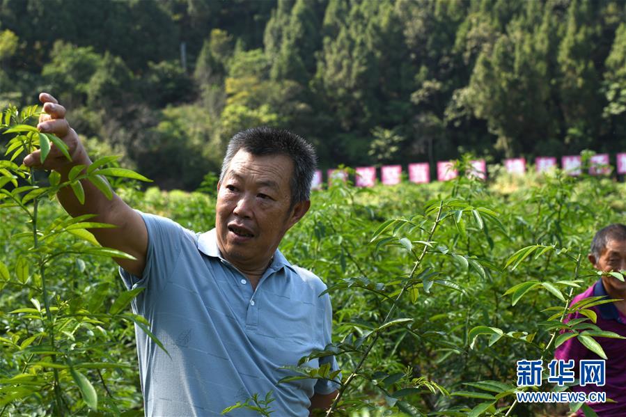 （決戰(zhàn)決勝脫貧攻堅(jiān)&middot;圖文互動(dòng)）（4）&ldquo;堵槍眼&rdquo;的脫貧戰(zhàn)怎么打？&mdash;&mdash;繼光村見(jiàn)聞