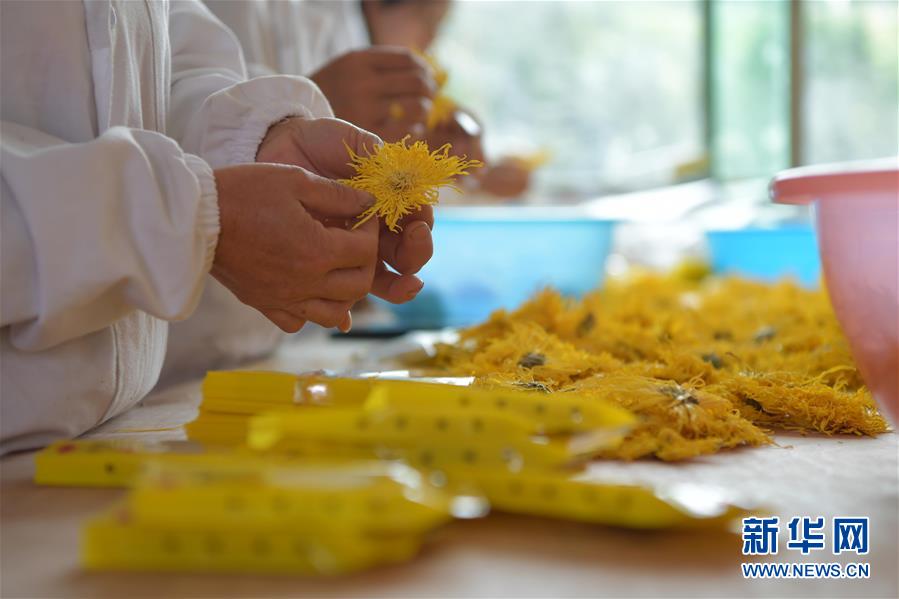 （新華全媒頭條&middot;圖文互動）（5）幕阜山&ldquo;搬窮&rdquo;記