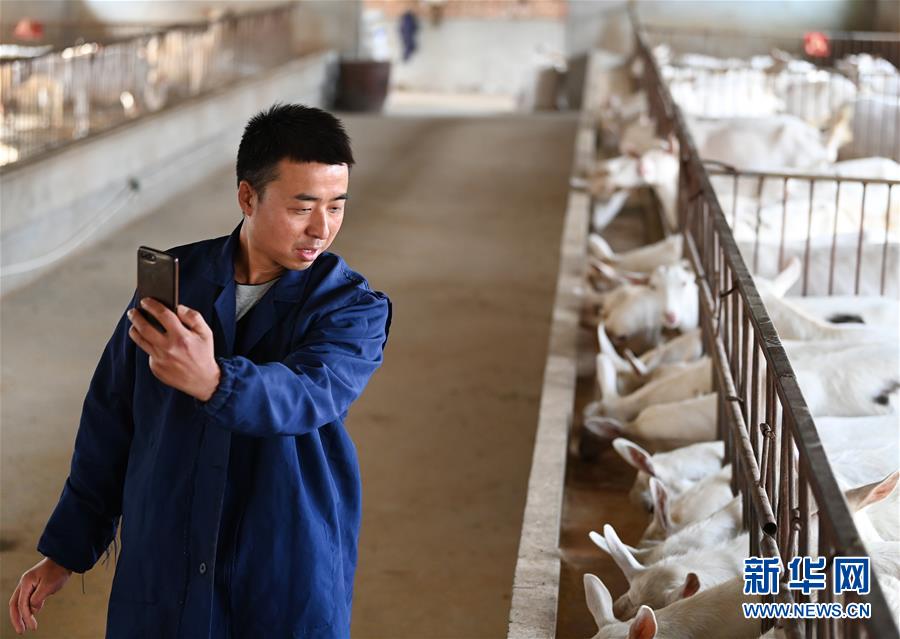 （新華全媒頭條&middot;五中全會(huì)精神在基層&middot;圖文互動(dòng)）（12）奮發(fā)新青年　逐夢新征程&mdash;&mdash;各地青年學(xué)習(xí)貫徹落實(shí)五中全會(huì)精神觀察