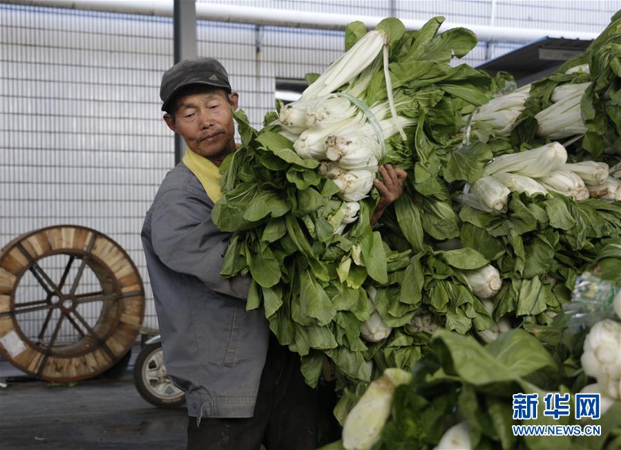 （全面建成小康社會&ldquo;百城千縣萬村調(diào)研行&rdquo;&middot;圖文互動）（3）安徽當(dāng)涂：強(qiáng)產(chǎn)業(yè)抓主體促增收