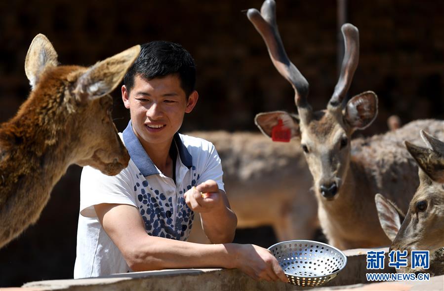 （&ldquo;中國面貌&rdquo;系列述評(píng)&middot;圖文互動(dòng)）（3）奇跡中國&mdash;&mdash;70年中國面貌變遷述評(píng)之一
