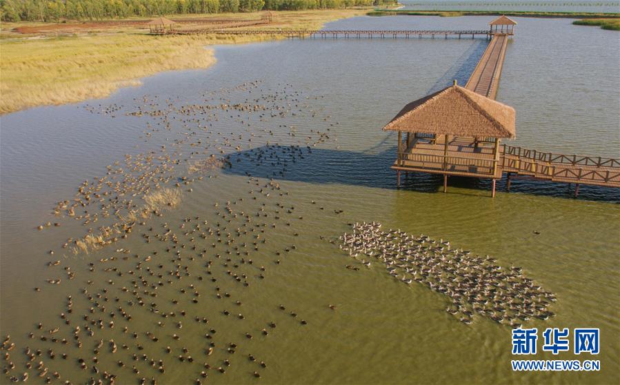 （新華全媒頭條&middot;圖文互動）（9）奮力書寫東北振興的時代新篇&mdash;&mdash;習(xí)近平總書記調(diào)研東北三省并主持召開深入推進東北振興座談會紀實