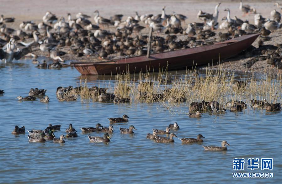（新華全媒頭條&middot;圖文互動）（10）奮力書寫東北振興的時代新篇&mdash;&mdash;習(xí)近平總書記調(diào)研東北三省并主持召開深入推進東北振興座談會紀實