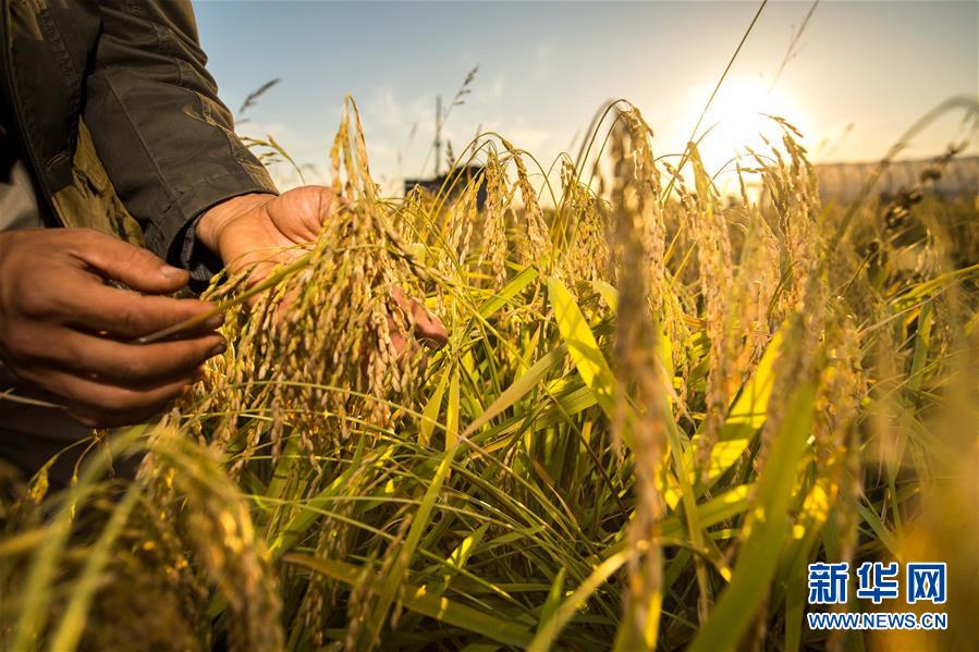 （新華全媒頭條&middot;圖文互動）（5）上下同心再出發(fā)&mdash;&mdash;習(xí)近平總書記同出席2019年全國兩會人大代表、政協(xié)委員共商國是紀(jì)實(shí)