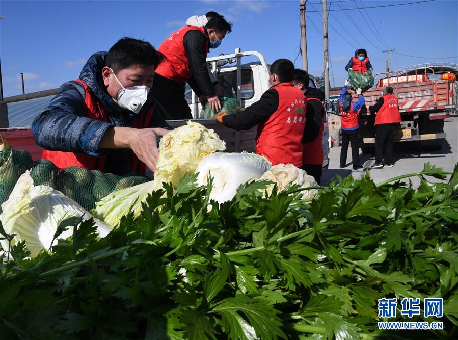 （在習(xí)近平新時(shí)代中國(guó)特色社會(huì)主義思想指引下&mdash;&mdash;新時(shí)代新作為新篇章&middot;習(xí)近平總書(shū)記關(guān)切事&middot;圖文互動(dòng)）（2）&ldquo;菜籃子&rdquo;里的力量&mdash;&mdash;全國(guó)各地努力做好保障和改善民生工作在行動(dòng)