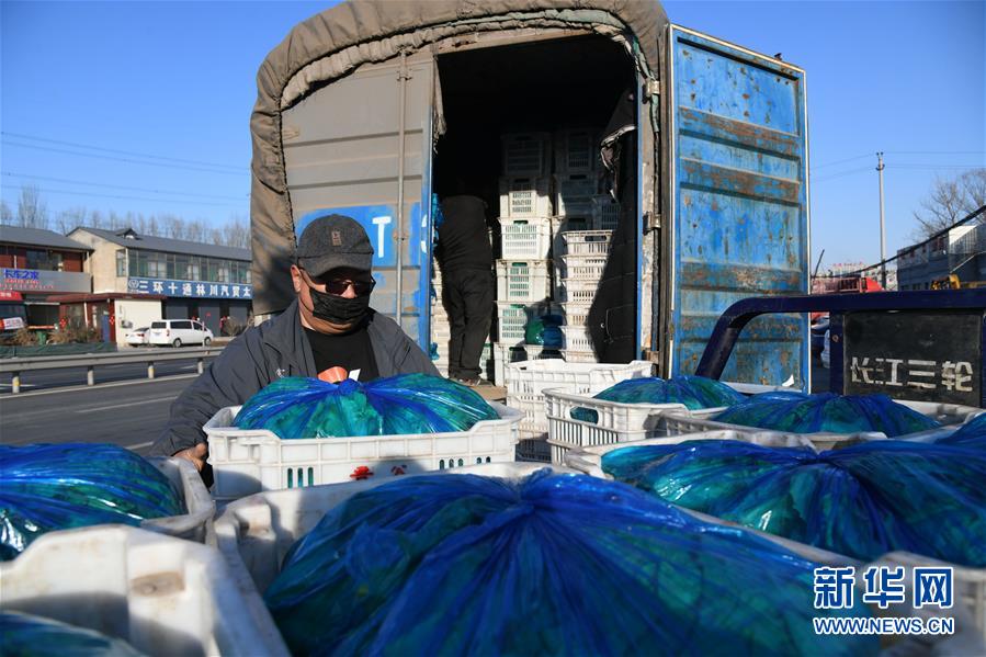 (在習(xí)近平新時(shí)代中國(guó)特色社會(huì)主義思想指引下——新時(shí)代新作為新篇章·習(xí)近平總書記關(guān)切事·圖文互動(dòng))(3)抗疫之下 保供無(wú)憂