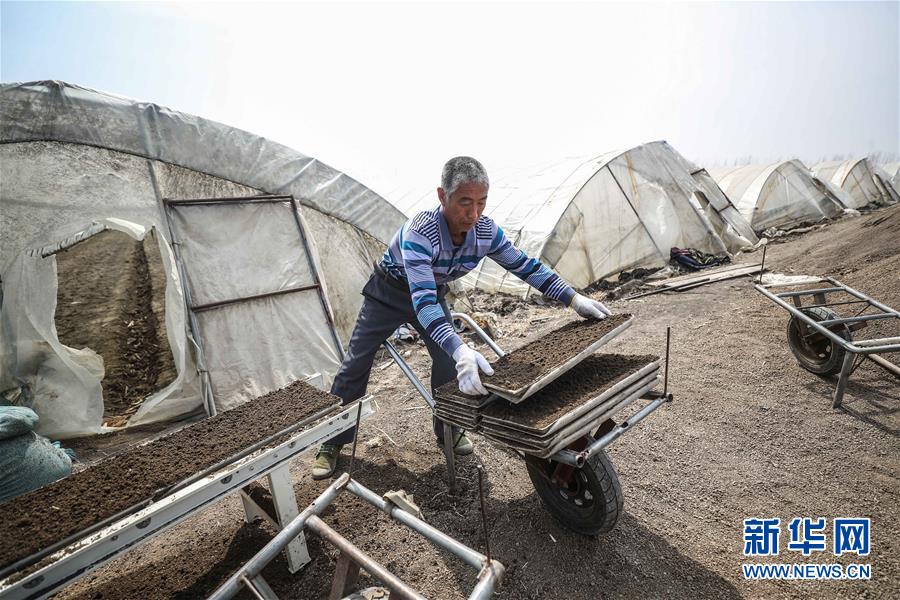 （在習(xí)近平新時代中國特色社會主義思想指引下&mdash;&mdash;新時代新作為新篇章&middot;習(xí)近平總書記關(guān)切事&middot;圖文互動）（5）春耕忙 信心足&mdash;&mdash;谷雨時節(jié)走馬東北直擊糧事