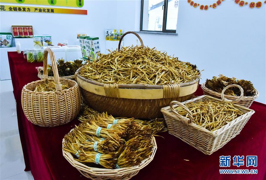 （新華全媒頭條&middot;圖文互動(dòng)）（3）初夏，循著總書(shū)記的腳步探訪產(chǎn)業(yè)扶貧新事