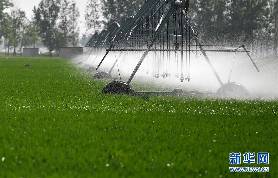 （在習(xí)近平新時代中國特色社會主義思想指引下&mdash;&mdash;新時代新作為新篇章&middot;習(xí)近平總書記關(guān)切事&middot;圖文互動）（3）新農(nóng)事、新希望&mdash;&mdash;夏收前田間新動態(tài)掃描